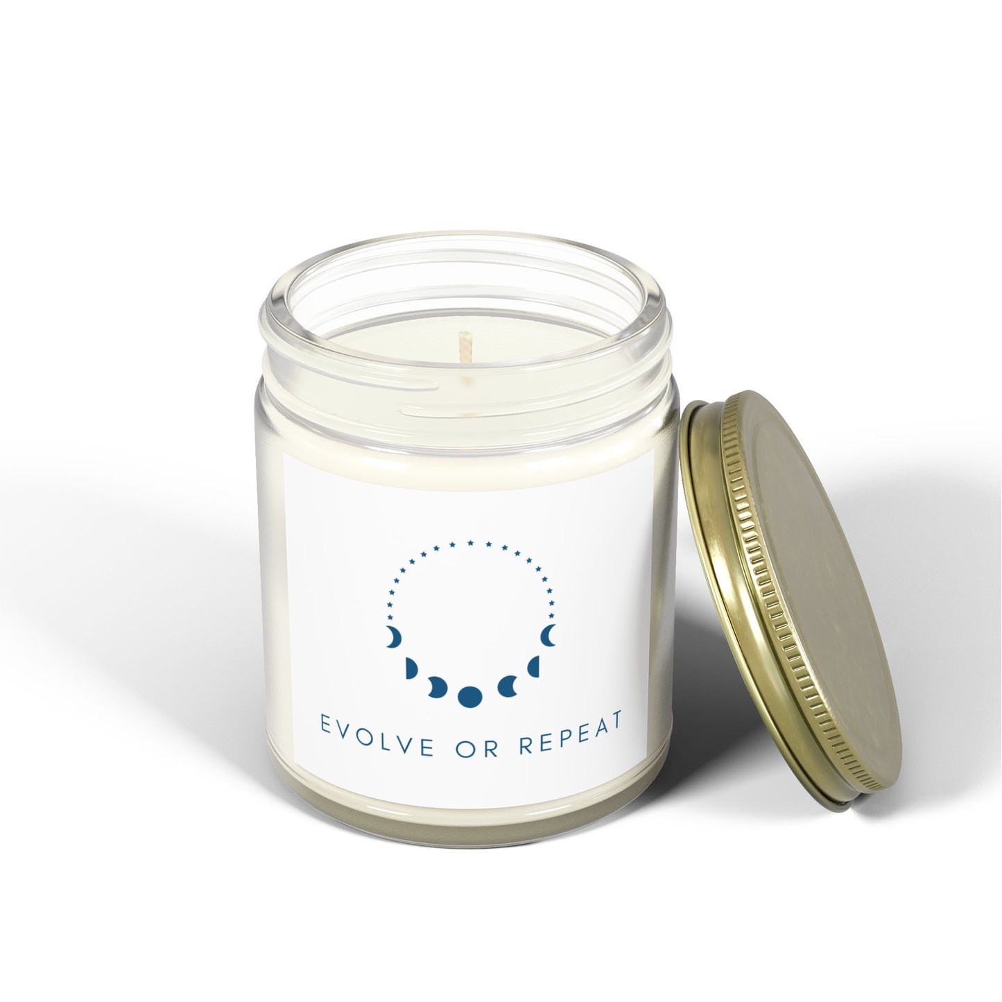 "Evolve or Repeat" - Scented Meditation Candles (4oz, 9oz)